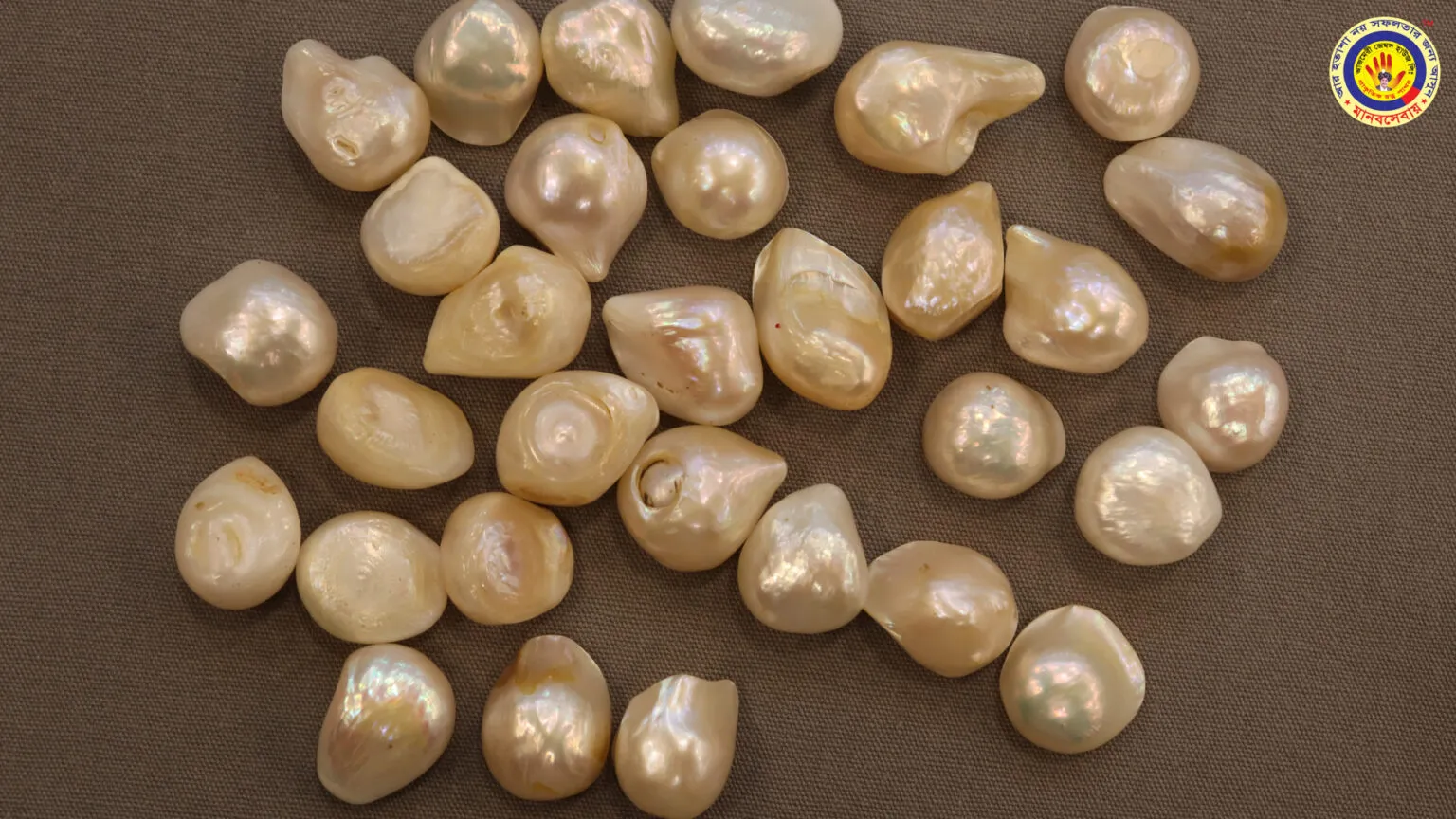 মুক্তা পাথর